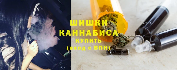 прущие грибы Абаза
