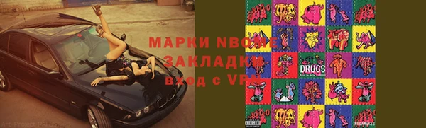 сатива Новозыбков