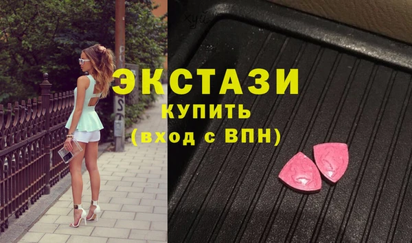 сатива Новозыбков