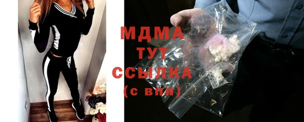 сатива Новозыбков