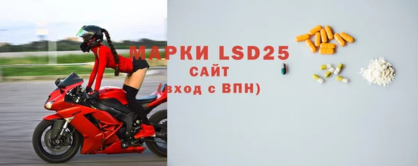 сатива Новозыбков