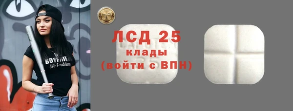 амф Новодвинск