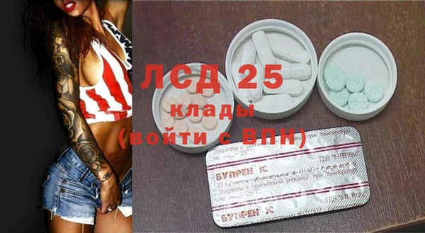 амф Новодвинск