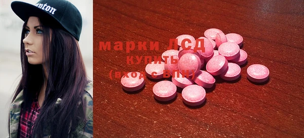 сатива Новозыбков