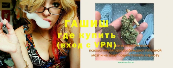 прущие грибы Абаза
