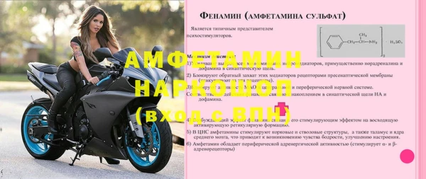 прущие грибы Абаза