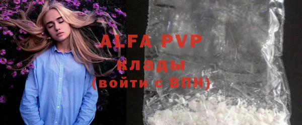 прущие грибы Абаза